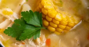 Indian Chicken Soup Recipe Indian Chicken Soup Recipe